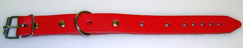 D-Ring-Lederrimen-rot-2,0cm
