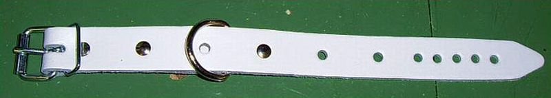 Lederriemen-weiss-mit-D-ring-2,0cm