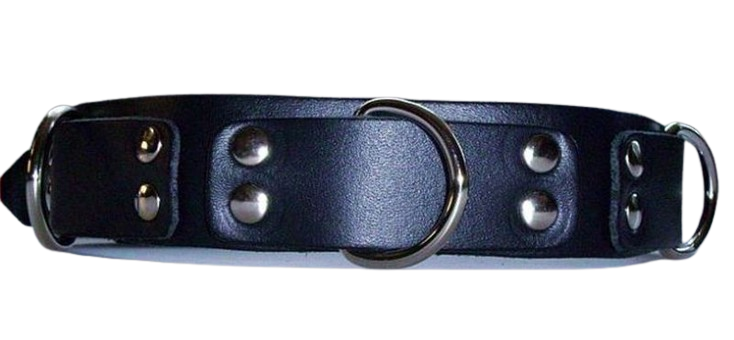 Halsband-blau