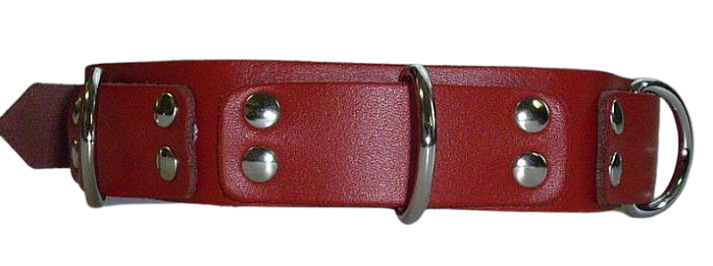 Halsband-rot