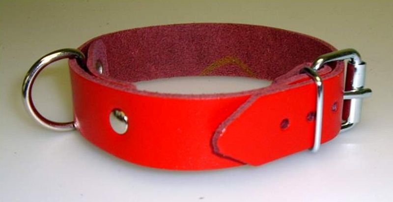 Lederriemen-rot-mit-D-ring-2,0x40,0cm