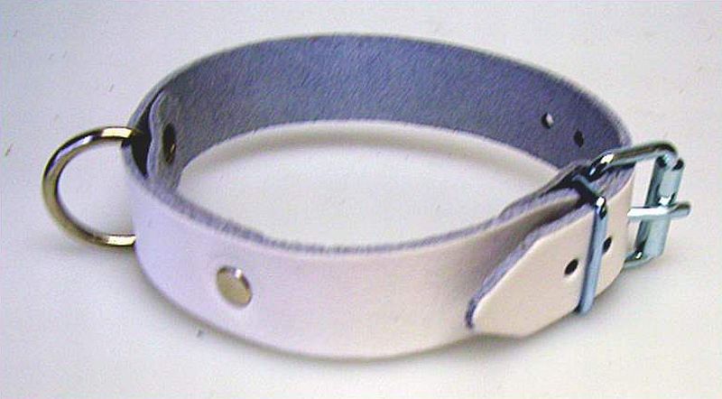 wisser-Lederriemen-mit-DRing-40,0cmx2,0cm