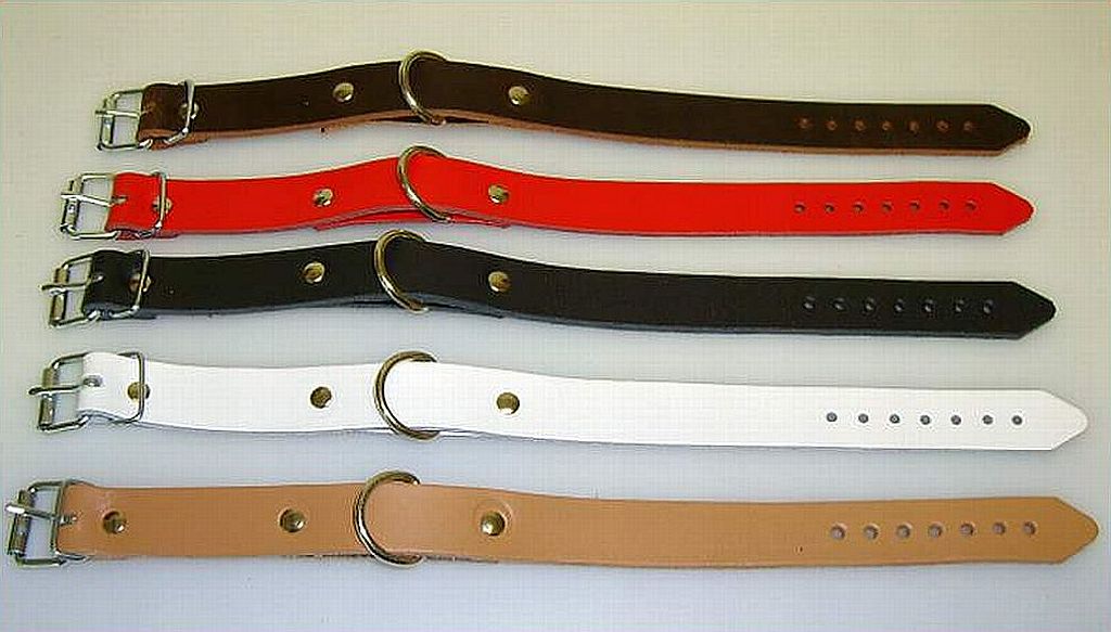 Lederriemen-mit-D-Ring-30,0cm
