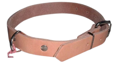 Lederriemen mit D-Ring 60,0 cm lang x 2,5 cm Hundehalsband, Halsbänder in 6 Farben von Lwph