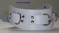 Super Leder-Halsbänder mit Nieten 5,0 cm breit verschweißten Ringen anatomisch geformt mit Farbkombinationen