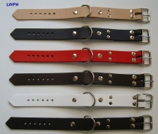 1 Paar Fussfesseln mit D-Ringen in verschiedenen Farben Echt Leder 2,5 x 35,0 cm, klein, fein, passend, einfach schnell und praktisch