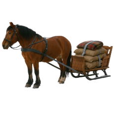 Unsere Riemen auch an Schlitten im Winter Outdoor bestens geeignet