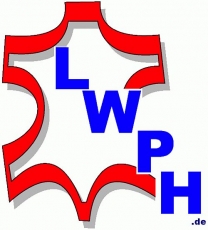 Lederriemen mit D-Ring 2,5 x 70,0 cm lang Befestigung- und Fixierungsriemen in verschiedenen Farben von Lwph