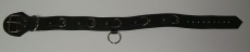 BDSM Taillengurt 5,0 cm x 120,0 cm mit 6 D-Ringen Klemmschutz und zusätzlichen O-Ring Lederriemen von Lwph