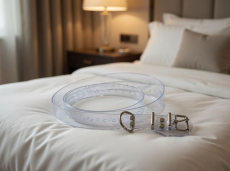 Transparenter Fetish- und Bondage-Gürtel mit glasklarer Optik und stabilem D-Ring