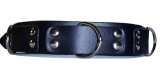 Verziert mit edlen Nieten, die dem Halsband einen markanten und modernen Look verleihen